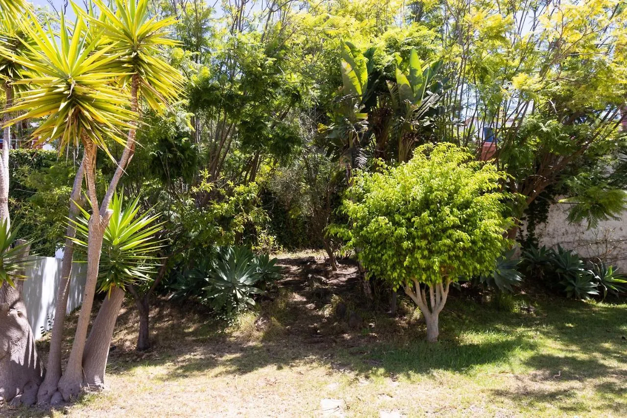 Home2Book Stunning Villa Raquel, Pool & View Sauzal