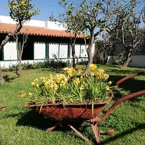 Limón Y Sol Сasa de vacaciones