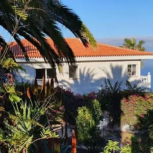 Larnia De Tenerife El Sauzal